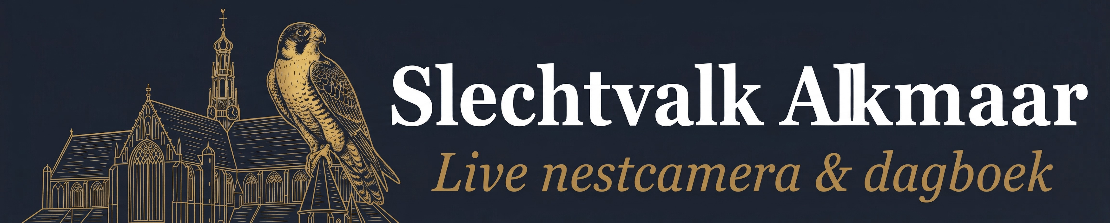 Slechtvalk Alkmaar – Live nestcamera & dagboek